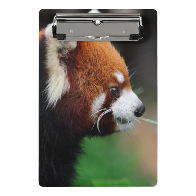 Mini Porte-bloc Panda rouge (Devant)