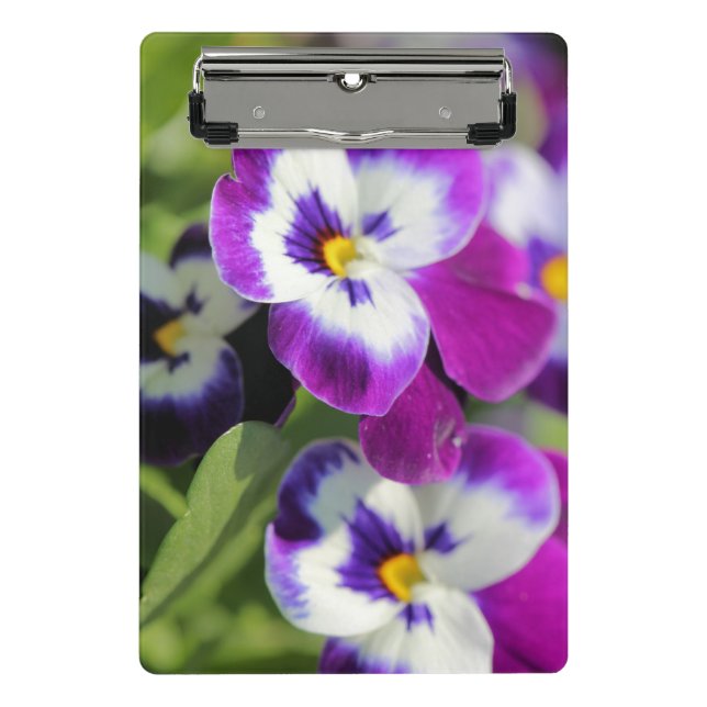 Mini Porte-bloc Pansy (Devant)