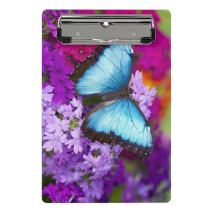 Mini Porte-bloc Papillon tropical de Sammamish Washington