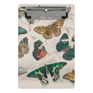 Mini Porte-bloc Papillons Collection Antique Papillons