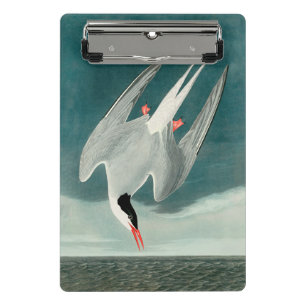 Mini Porte-bloc Peinture de la faune de la sterne de l'Arctique Au