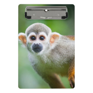 Mini Porte-bloc Plan rapproché d'un singe-écureuil commun