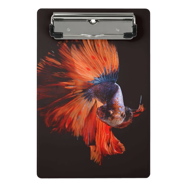 Mini Porte-bloc Poisson combattant (Devant)