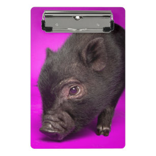 Mini Porte-bloc Porc noir de bébé