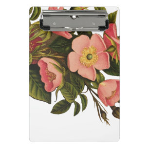 Mini Porte-bloc Roses Anciennes Jolies Roses Botaniques Roses