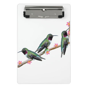 Mini Porte-bloc Trois colibris perchés sur une branche Floss Silt