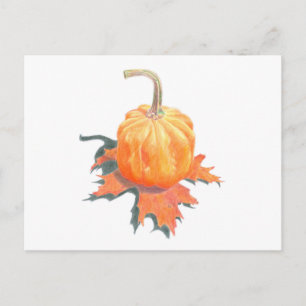 Mini Pumpkin auf Eichenholz Postkarte