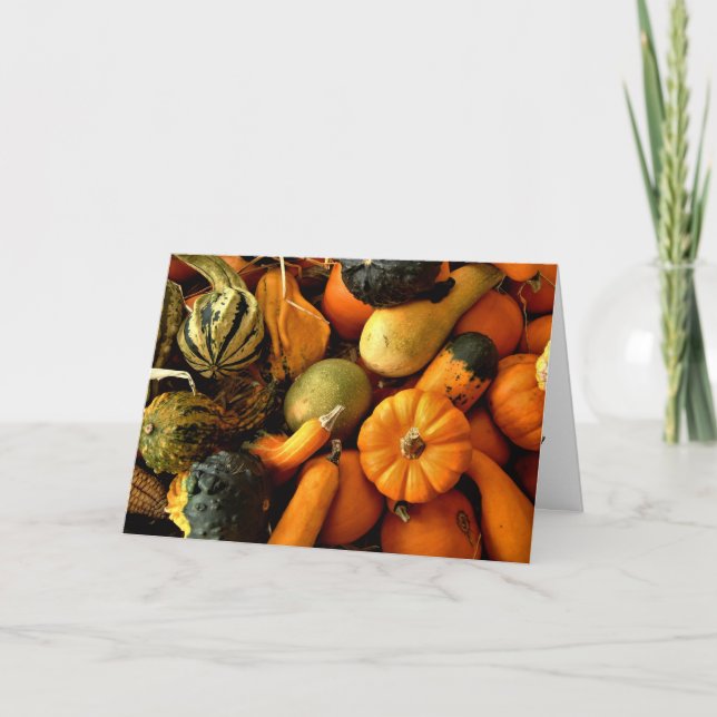Mini Pumpkins und Gourds Sortiment Fall Foto 2 Karte (Vorderseite)
