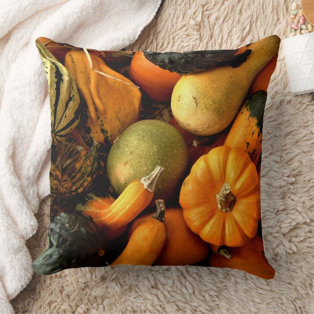 Mini Pumpkins und Gourds Sortiment Fall Foto 2 Kissen (Decke)