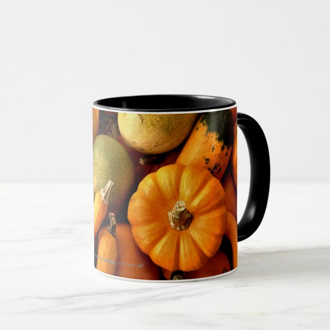 Mini Pumpkins und Gourds Sortiment Fall Foto 2 Tasse (VorderseiteRechts)