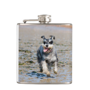 Mini-Schnauzer Flachmann