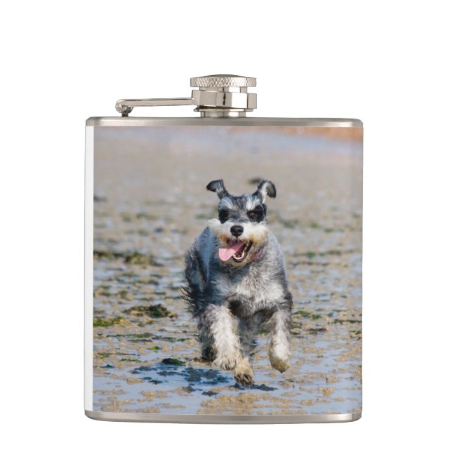 Mini-Schnauzer Flachmann (Vorderseite)