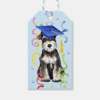 Mini Schnauzer Graduate