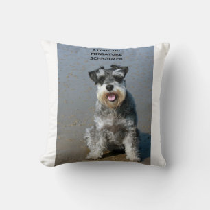 Mini-Schnauzer-Liebe w pic Kissen