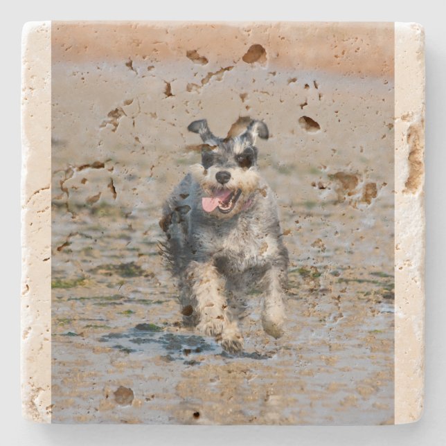 Mini-Schnauzer Steinuntersetzer (Vorderseite)