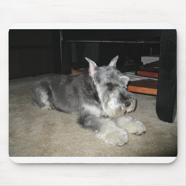 Mini_Schnauzer Verlegen Mousepad (Vorne)