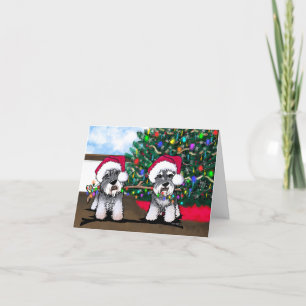 Mini Schnauzers - Carte de Noël