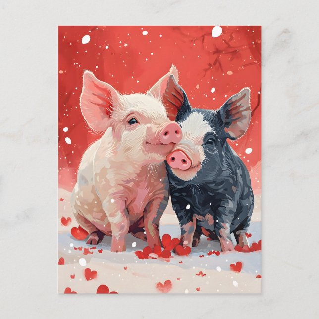 Mini-Schweine Valentinstag Postkarte (Vorderseite)