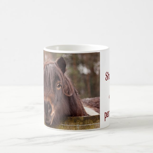 mini Shetland, la tasse de l'énorme personnalité (Centre)