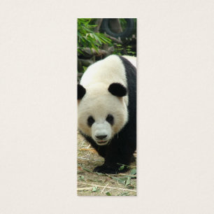 Mini-signet de panda géant