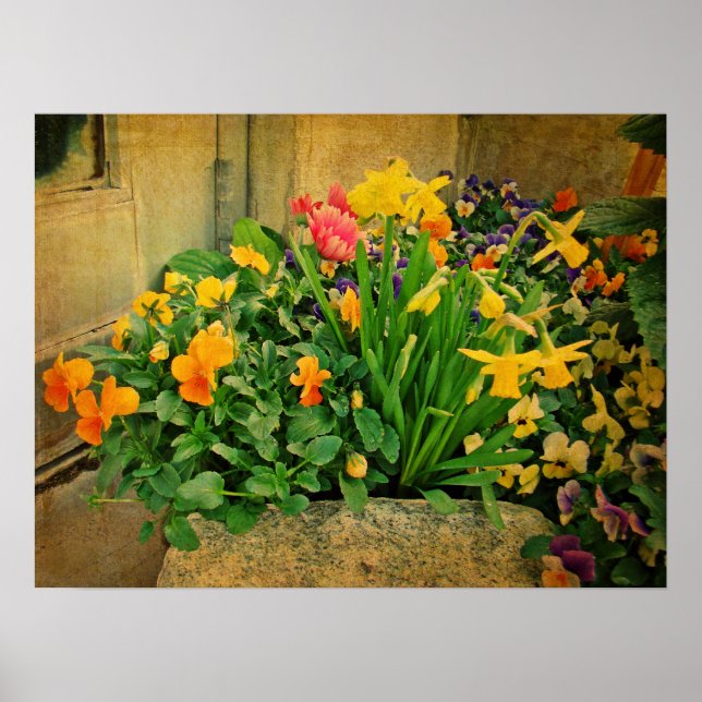 Mini Springtime Garden Poster (Vorne)