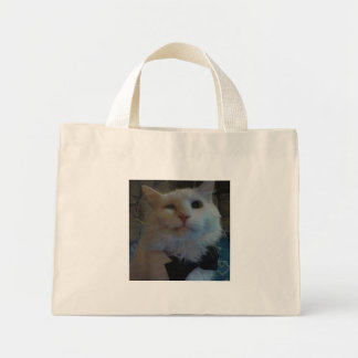 Mini Tote Bag cravate d'arc Moglie 2.jpg