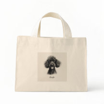 Poodle noir