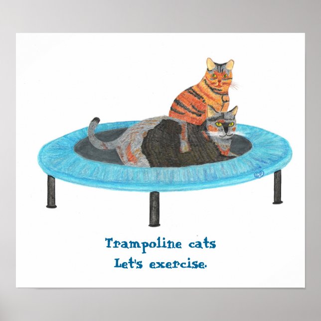 Mini Trampoline Chats, Exercons-nous Posters (Devant)