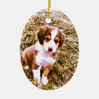 Miniatur Australian Shepherd! Mini Aussie Welpe! Keramik Ornament