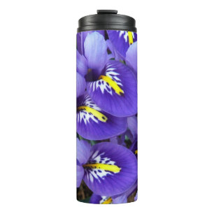 Miniatur Blaue Schwertlilien Frühlingsblumen Thermosbecher