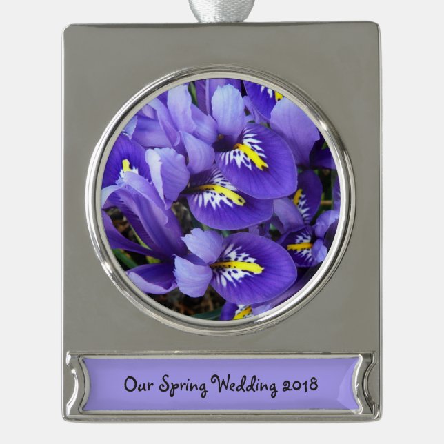 Miniatur Blue Irises Frühblut Banner-Ornament Silber (Vorderseite)