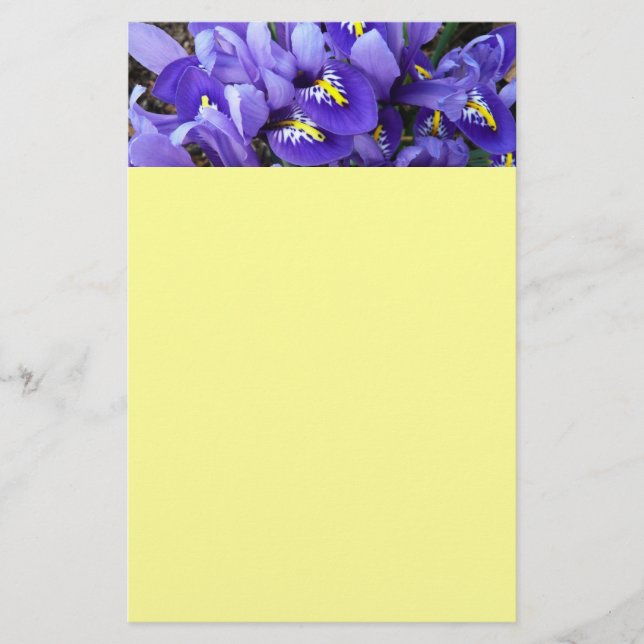 Miniatur Blue Irises Frühblut Briefpapier (Vorderseite)