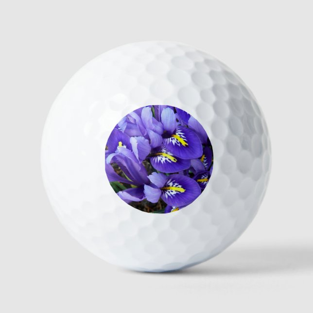Miniatur Blue Irises Frühblut Golfball (Vorderseite)