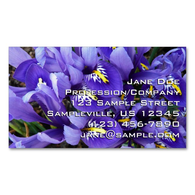 Miniatur Blue Irises Frühblut Magnetische Visitenkarte (Vorderseite)