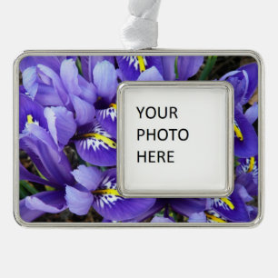 Miniatur Blue Irises Frühblut Rahmen-Ornament Silber