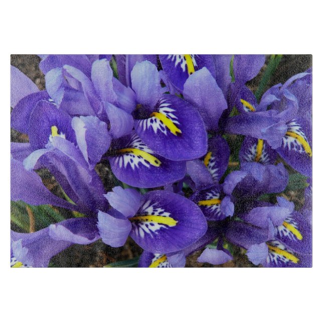 Miniatur Blue Irises Frühblut Schneidebrett (Vorderseite)