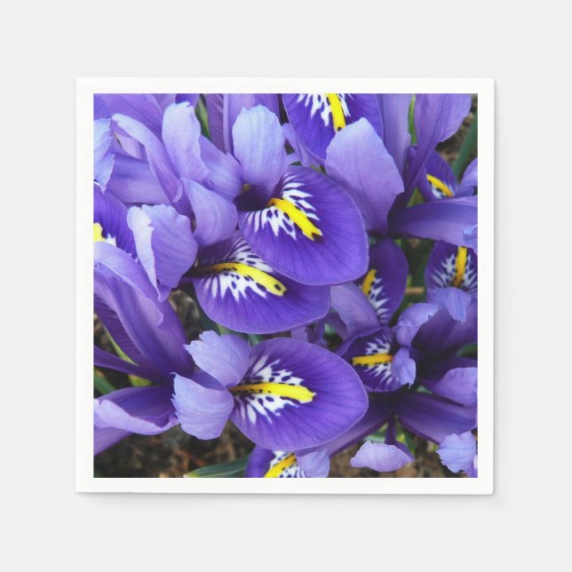 Miniatur Blue Irises Frühblut Serviette (Vorderseite)