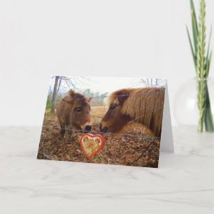 Miniatur Donkey & Horse Herzstück Feiertagskarte