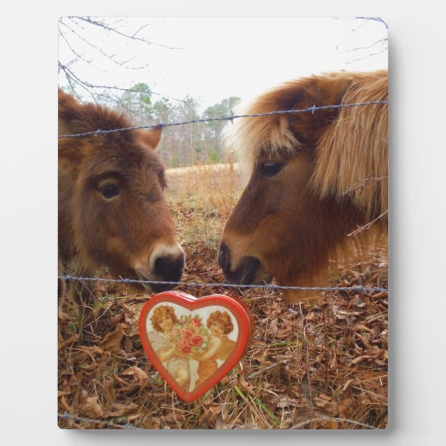 Miniatur Donkey & Horse Herzstück Fotoplatte (Vorderseite)