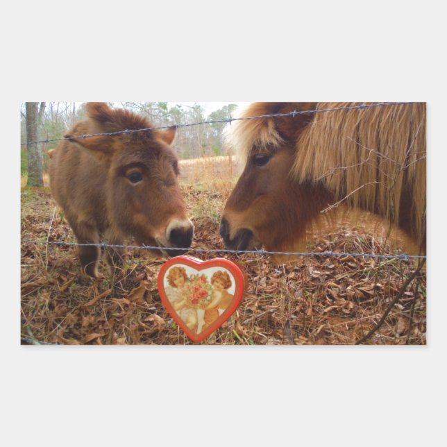 Miniatur Donkey & Horse Herzstück Rechteckiger Aufkleber (Vorderseite)