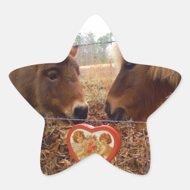 Miniatur Donkey & Horse Herzstück Stern-Aufkleber (Vorderseite)