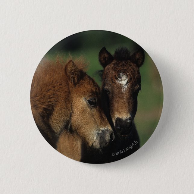 Miniatur-Fohlen 2 Button (Vorderseite)