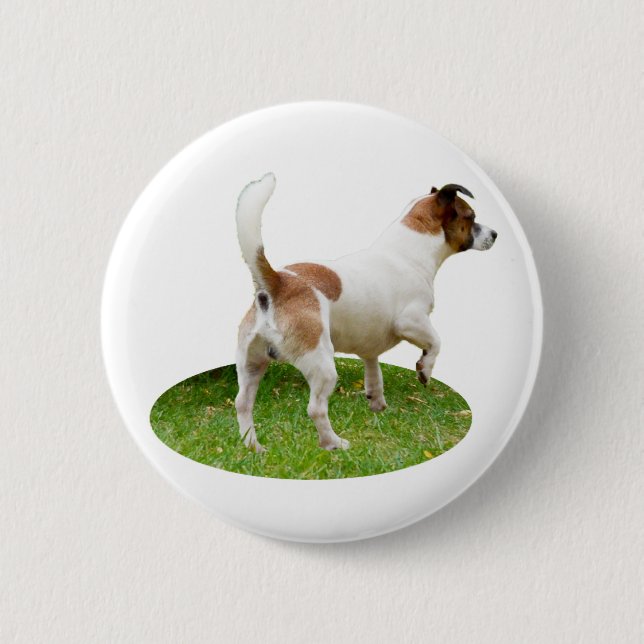 Miniatur Fox Terrier Alert, Round Abzeichen Button (Vorderseite)