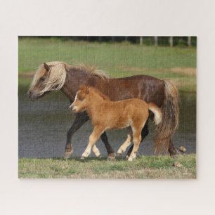 Miniatur Mare and Foal Walking am See