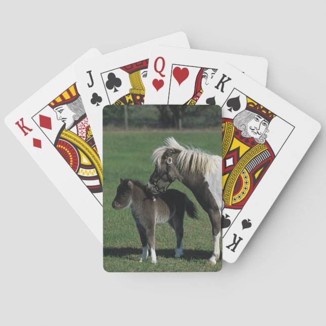 Miniatur-Mare & Foal-Stehend Spielkarten (Rückseite)