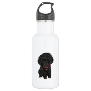 Miniatur- oder Spielzeugpoodle - Schwarz 1 Trinkflasche