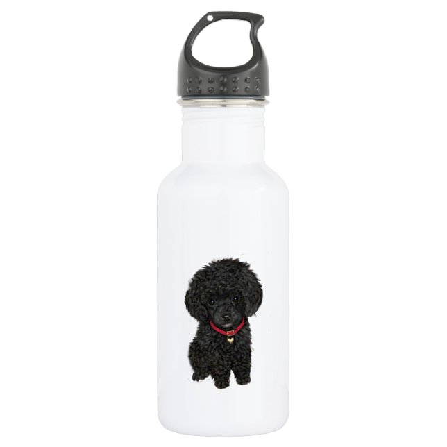 Miniatur- oder Spielzeugpoodle - Schwarz 1 Trinkflasche (Vorderseite)