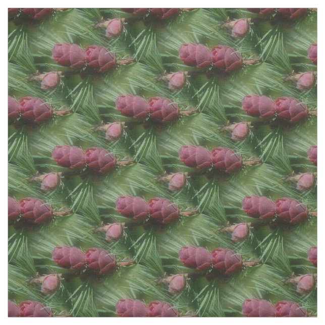 Miniatur Pine Cones Nattern Muster Stoff (Muster)