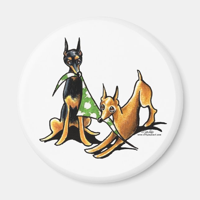 Miniatur Pinscher n Äpfel Magnet (Vorne)