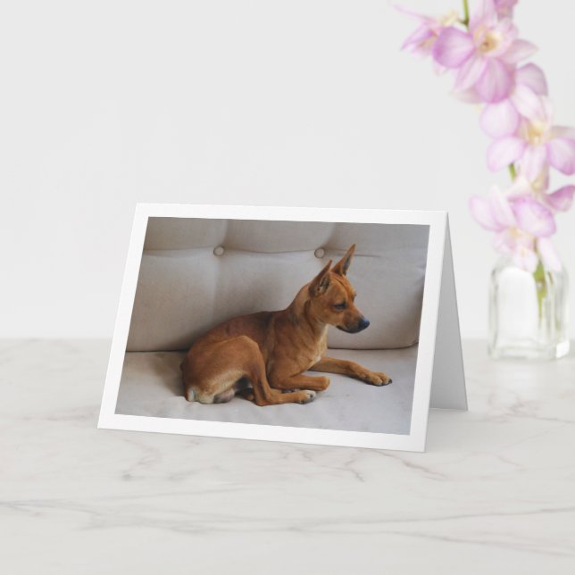 Miniatur-Pinscher-Portrait Karte (Orchidee)